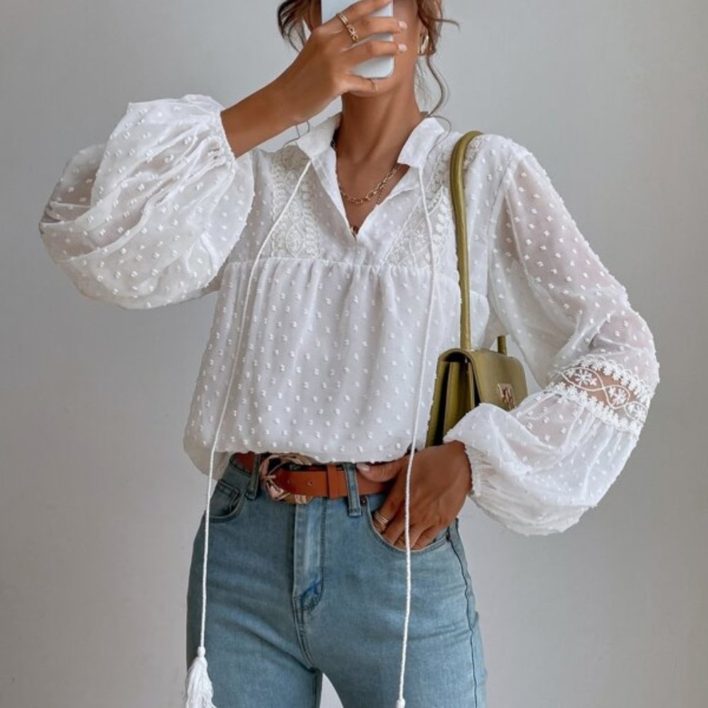 Swiss Dot Embroidery Mesh Lantern Sleeve  Blouse - Picture 6 of 6